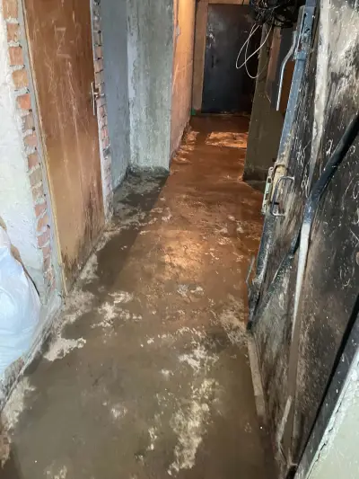 Бордърлайн ЕООД