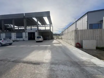 AUTOİNGİNERİNG1