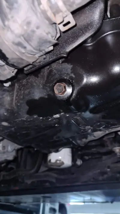 Speed motor