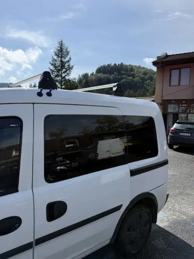 Demirev Window tint