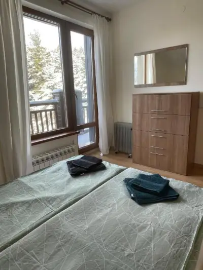 Cozy Mountain Apartment