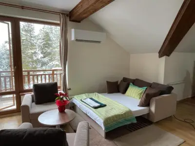 Cozy Mountain Apartment