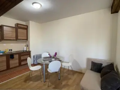 Cozy Mountain Apartment