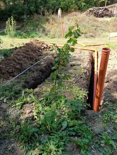 Викман транс