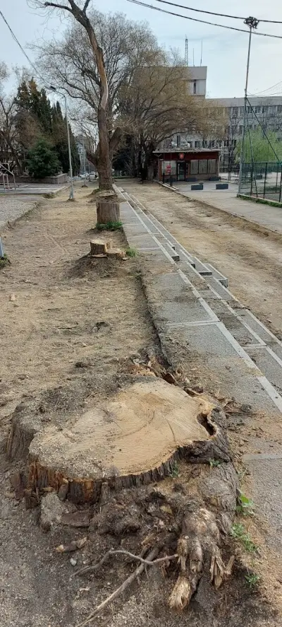 Мини Футбол