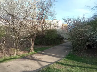 Обществен парк „Росица“