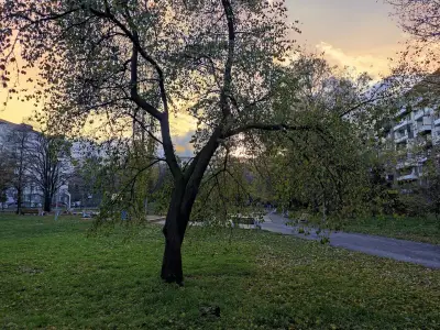 Обществен парк „Росица“