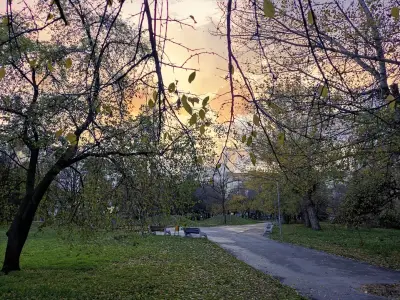 Обществен парк „Росица“