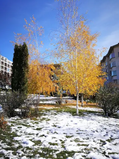 Парк „Картала“