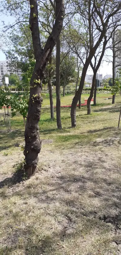 Парк Възраждане
