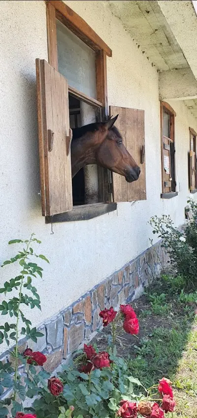 Конна база Бургас