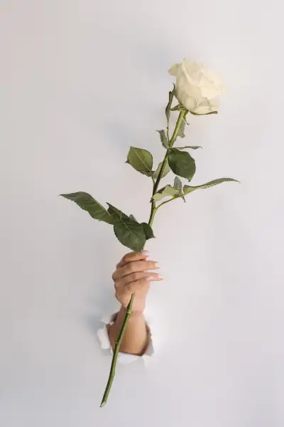 Mireya Fleur Boutique - Луксозни Букети