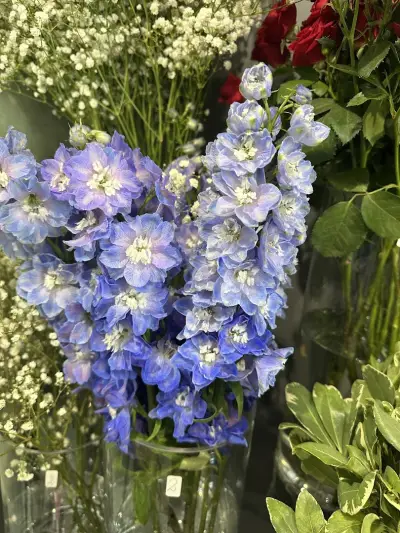 Flower Boutique №87