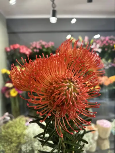 Flower Boutique №87