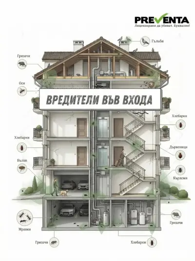 Превента - ДДД фирма №1 в България