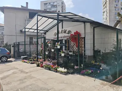 Далия Къщата