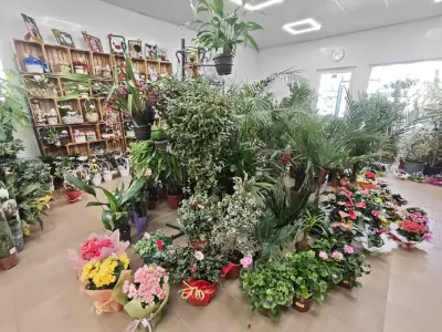 Далия Къщата