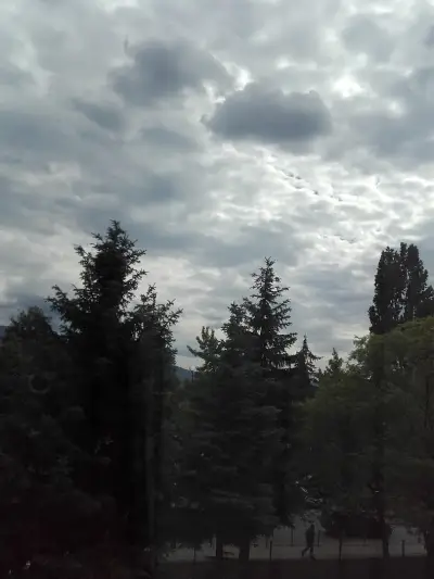 Електрон Прогрес ЕАД