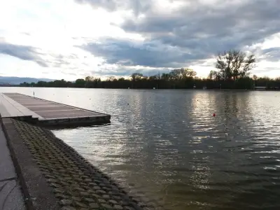Пижо комерс - Т. Тодоров