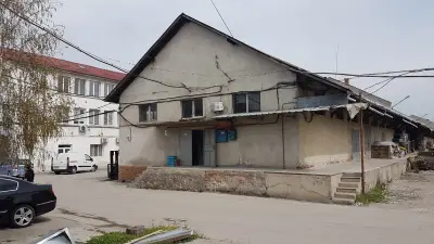 Морели ООД