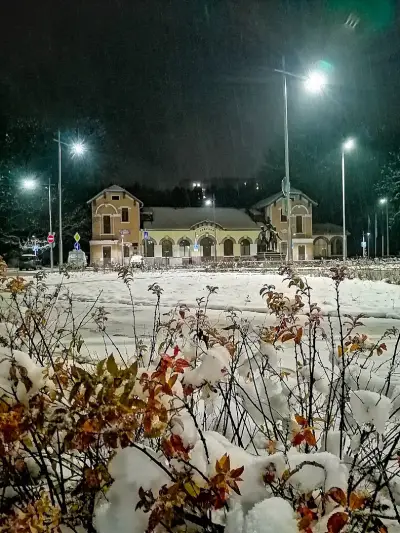 ЖП гара