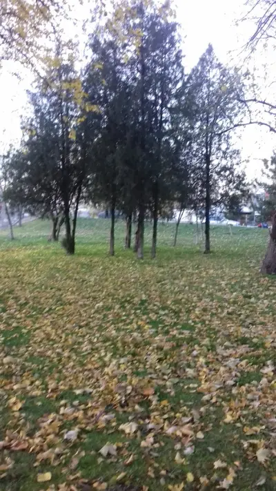Трибшлос