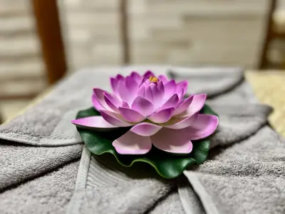LOTUS Thai Massage & Asian Cosmetics | Тайландски масажи и азиатска козметика