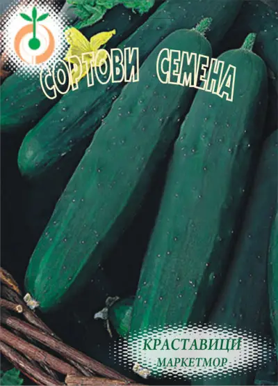 Motika