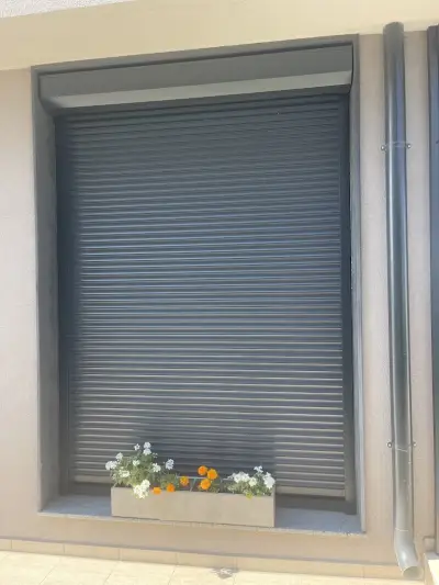 Сиа Дизайн