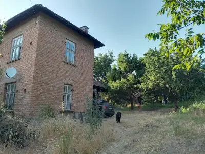 Camping Mad Micah