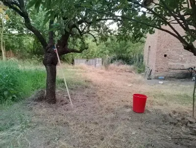 Camping Mad Micah
