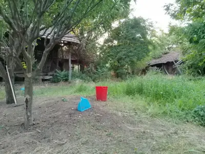 Camping Mad Micah