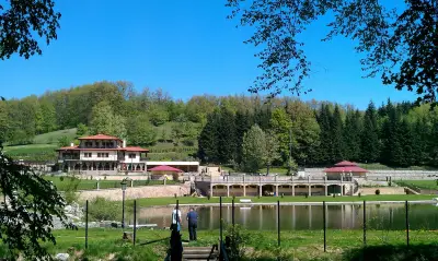 Комплекс Синкевица