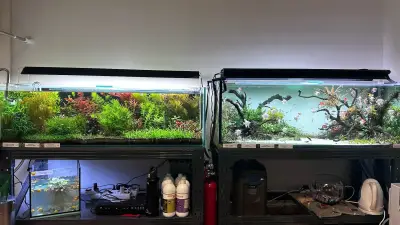 Aqua Studio Varna
