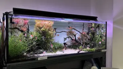 Aqua Studio Varna