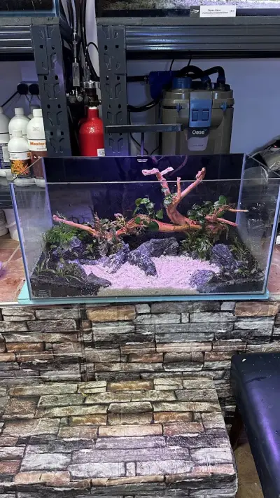 Aqua Studio Varna