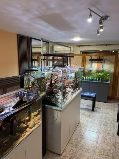 Aquarium Boutique and Pet Shop
