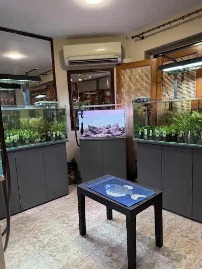 Aquarium Boutique and Pet Shop
