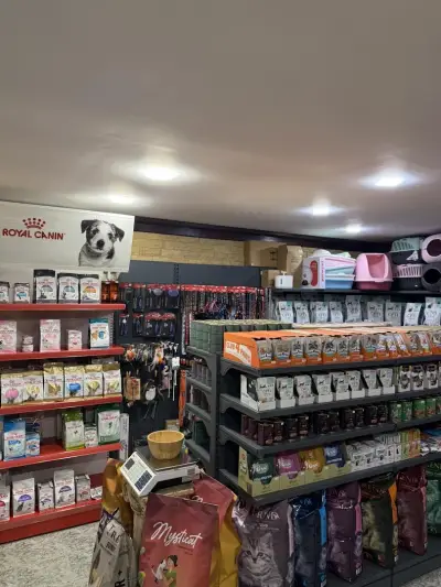 Aquarium Boutique and Pet Shop