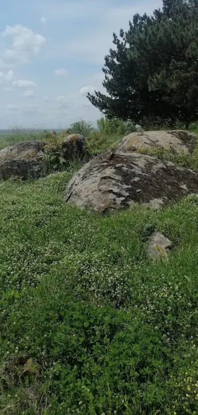 Лечебните скали