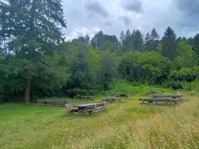 Лесопарк „Турлата“