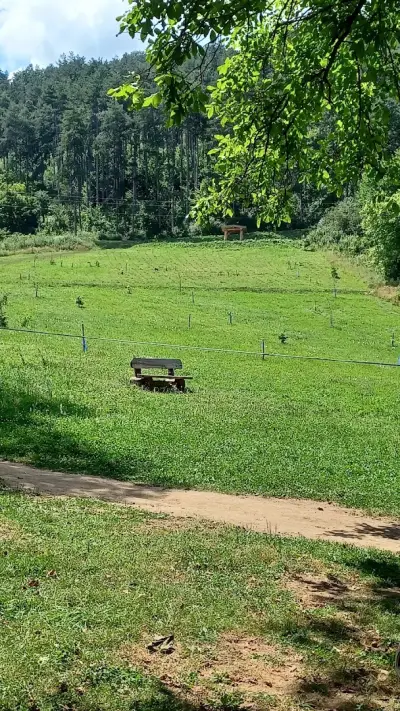 Лесопарк „Турлата“