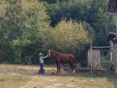 Wild at heart ranch Bulgaria