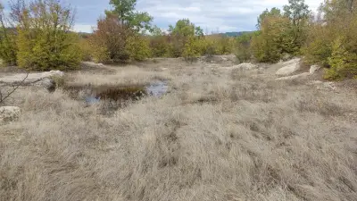 Двойна шарапана на Кралево