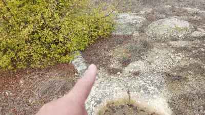 Двойна шарапана на Кралево