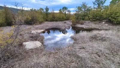 Двойна шарапана на Кралево