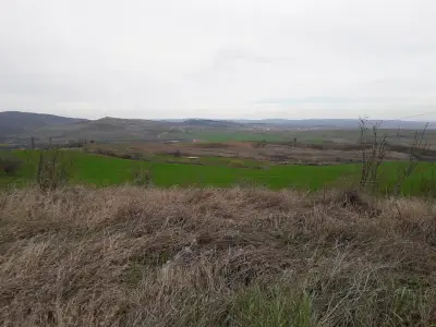 Голямата могила