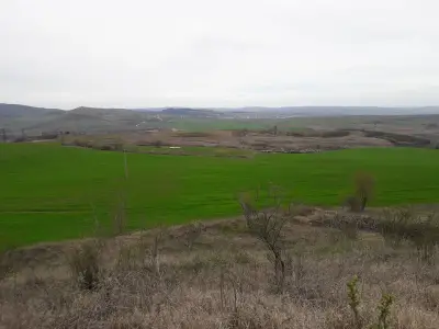 Голямата могила