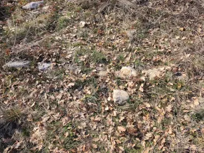 Римски път ''Via Diagonalis''