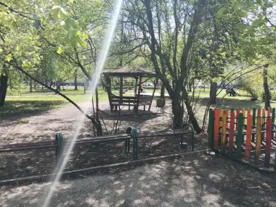 Срастналото дърво